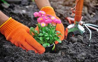 notranje visoke grede